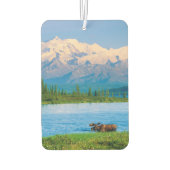 Bull moose in Wonder Lake カーエアーフレッシュナー (裏面)