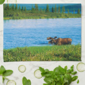 Bull moose in Wonder Lake キッチンタオル (折り畳み)