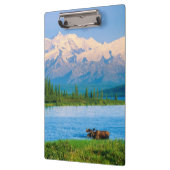 Bull moose in Wonder Lake クリップボード (左)