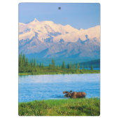Bull moose in Wonder Lake クリップボード (裏面)