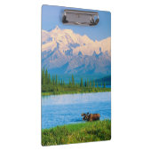 Bull moose in Wonder Lake クリップボード (右)