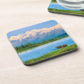 Bull moose in Wonder Lake コースター (左側)