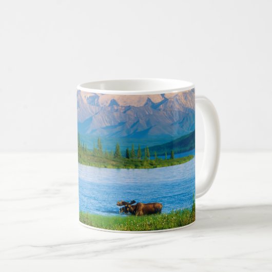 Bull moose in Wonder Lake コーヒーマグカップ (正面右)
