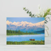 Bull moose in Wonder Lake サンキューカード (スタンド正面)