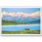 Bull moose in Wonder Lake シール (正面)