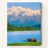 Bull moose in Wonder Lake ノートブック (裏面)