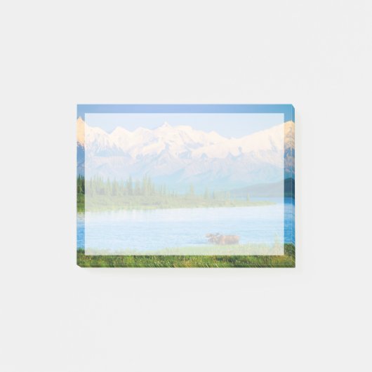 Bull moose in Wonder Lake ポストイット (正面)