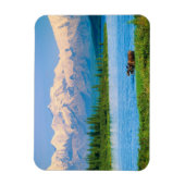 Bull moose in Wonder Lake マグネット (縦)