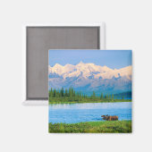 Bull moose in Wonder Lake マグネット (正面/裏面)