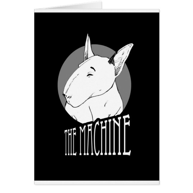 bull terrier (正面)