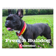 Bulldogカレフランスのンダーのカスタム写真