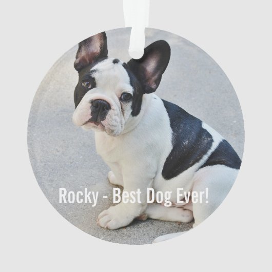 Bulldogパーソナライズされた写真とBulldog名 オーナメント (裏面)
