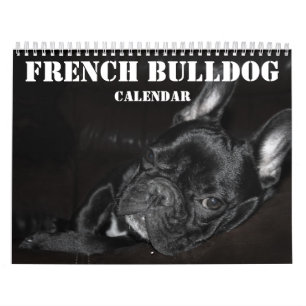 Bulldogフランスのカレンダー2026写真あり カレンダー