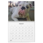 BullDogポップス カレンダー (3月 2027)