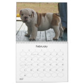 BullDogポップス カレンダー (2月 2027)