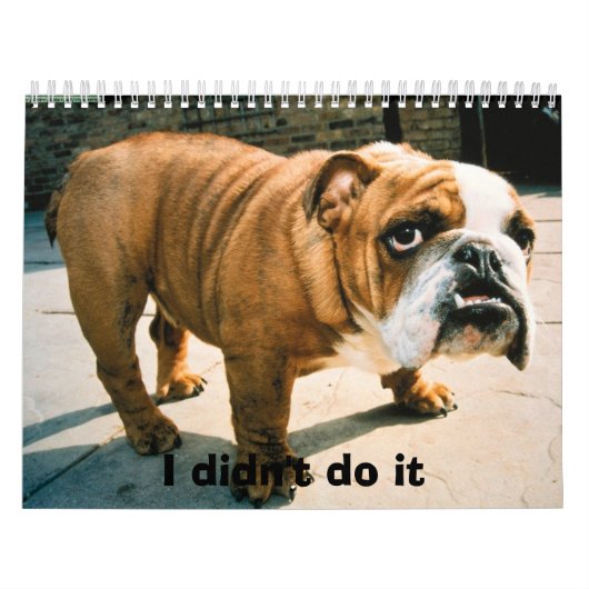 BullDogポップス カレンダー (カバー)