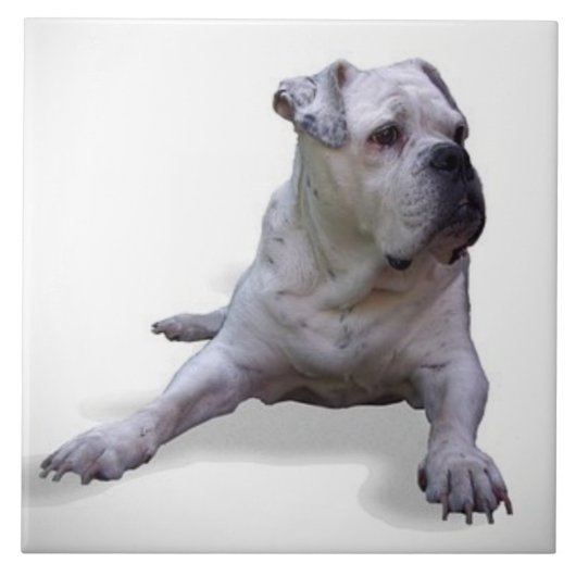 BULLDOG 2, Pet Love, 最高の Friend  KEEPSAKE タイル (正面)