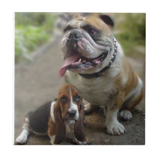 Bulldog & BabyBassett - Be aware of my best friend タイル