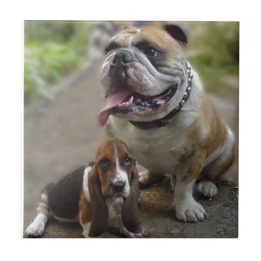 Bulldog & BabyBassett - Be aware of my best friend タイル (正面)