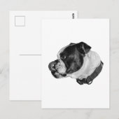 Bulldog Calm Mail ポストカード (正面/裏面)
