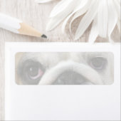 Bulldog Eyes ラベル (インサイチュ)