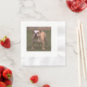 bulldog full 2.png 縁ありカクテルナプキン (インサイチュ)