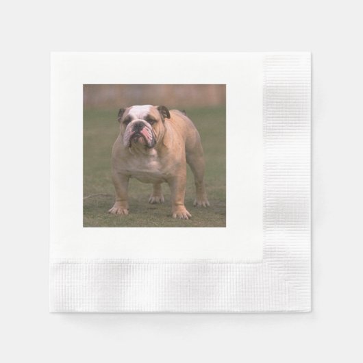bulldog full 2.png 縁ありカクテルナプキン (正面)