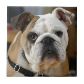 Bulldog.png タイル (正面)