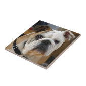 Bulldog.png タイル (側面)