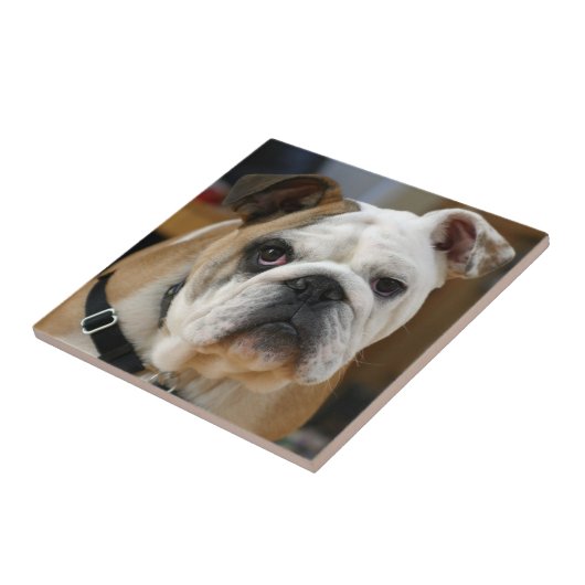 Bulldog.png タイル (側面)
