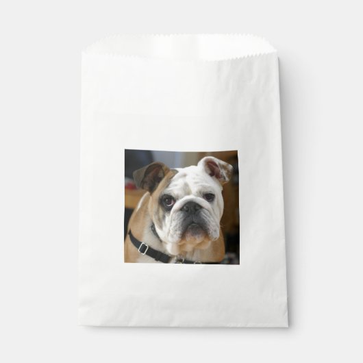 Bulldog.png フェイバーバッグ (正面)