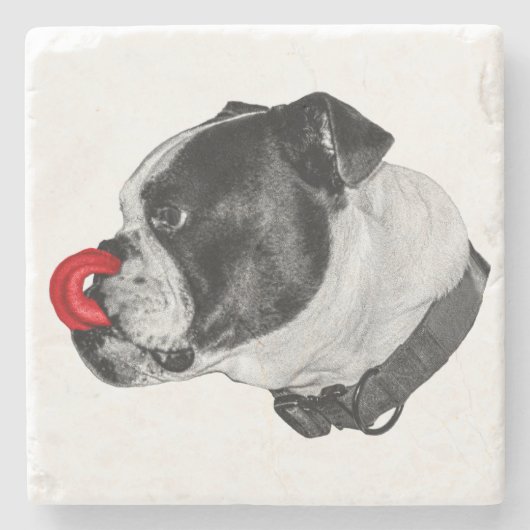 Bulldog Red Accent Coaster ストーンコースター (正面)