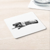 Bulldog Still Moments スクエアペーパーコースター (アングル)