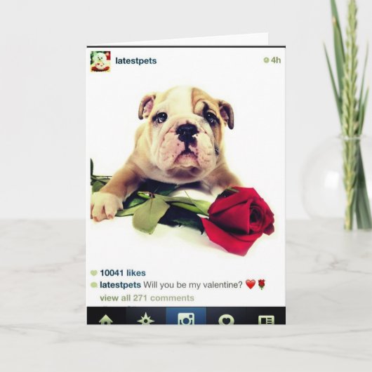 Bulldog Valentine Card シーズンカード (正面)
