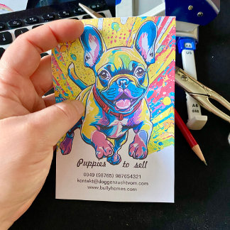 Bulldoggen Welpen zu verkaufen ポストイット