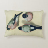 bullfinchの3つの勉強 アクセントクッション (裏面)