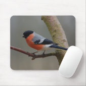Bullfinch マウスパッド (マウス)