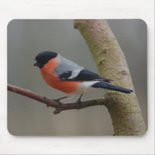 Bullfinch マウスパッド