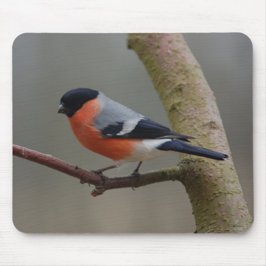 Bullfinch マウスパッド (正面)