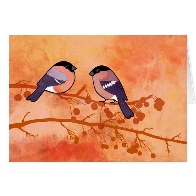 Bullfinch (Pyrrhulaのpyrrhula) (正面横)