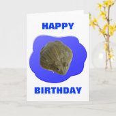 Bullfrogカスタマイズ可能誕生日カード カード (黄色い花)