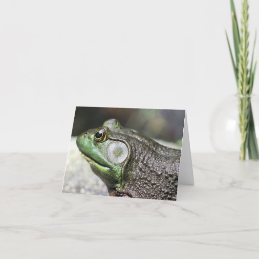 Bullfrog Thoughts Nature Photography Note カード (正面)
