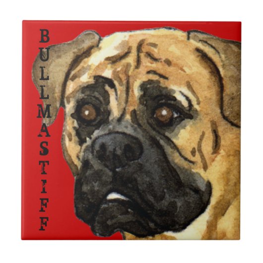 Bullmastiffカラーブロック タイル (正面)