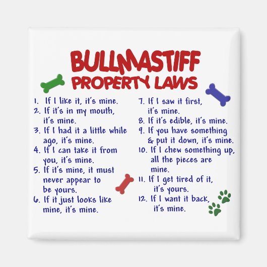 BULLMASTIFFプロパティの法則2 マグネット (正面)