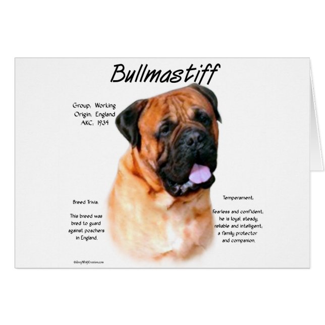 Bullmastiff （赤）履歴デザイン (正面横)