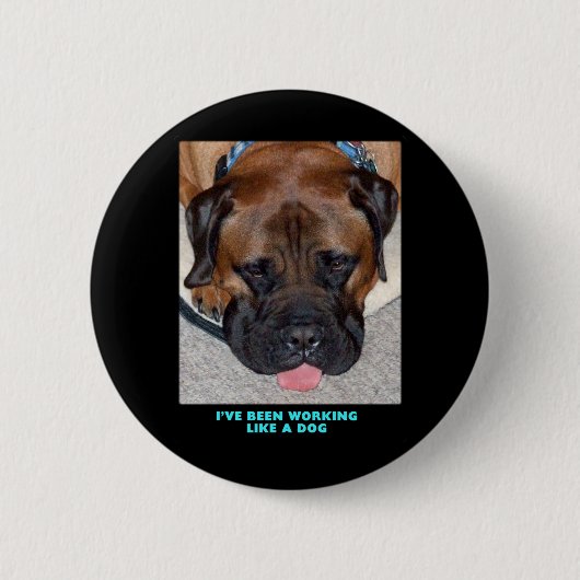 Bullmastiff Iはずっと犬のように働いています 缶バッジ (正面)