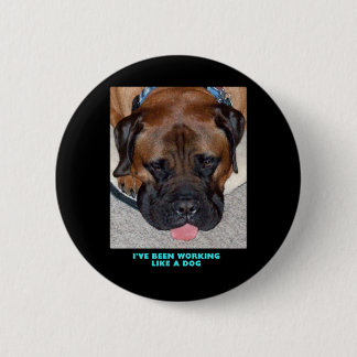 Bullmastiff Iはずっと犬のように働いています 缶バッジ