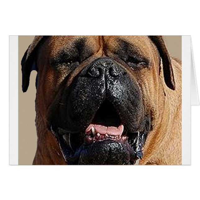 bullmastiff.png (正面横)