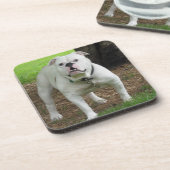 Bullodgのコースター コースター (左側)