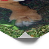 BULLY FREE ZONE 52" x 35"ポスター ポスター (角)